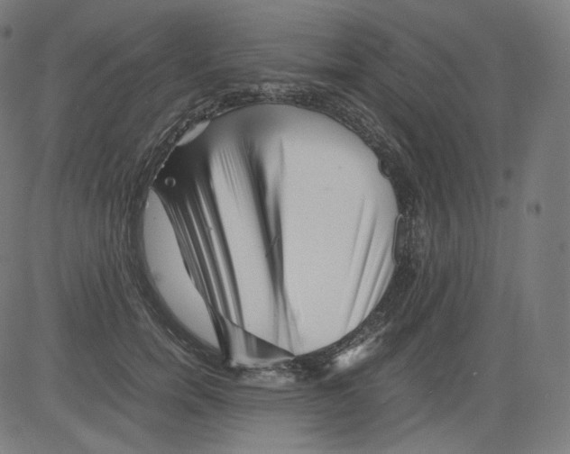 X0000081430750200702092159