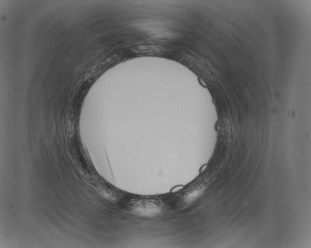 X0000081430751200702092159