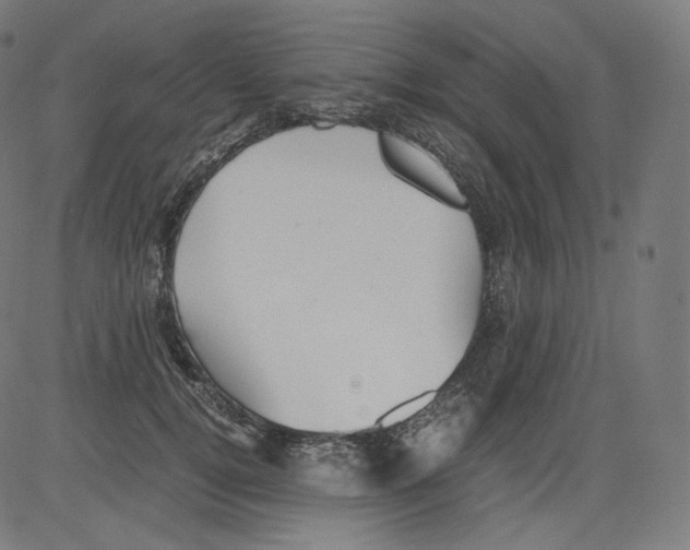 X0000081430752200702092159