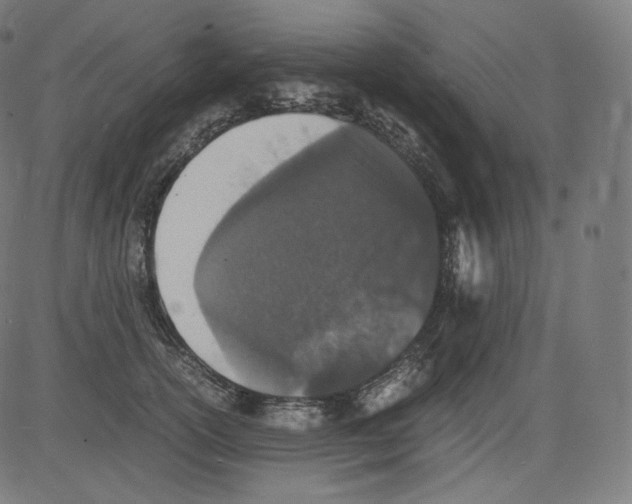 X0000081430754200702092159