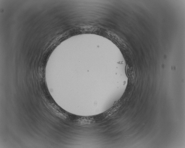 X0000081430756200702092159