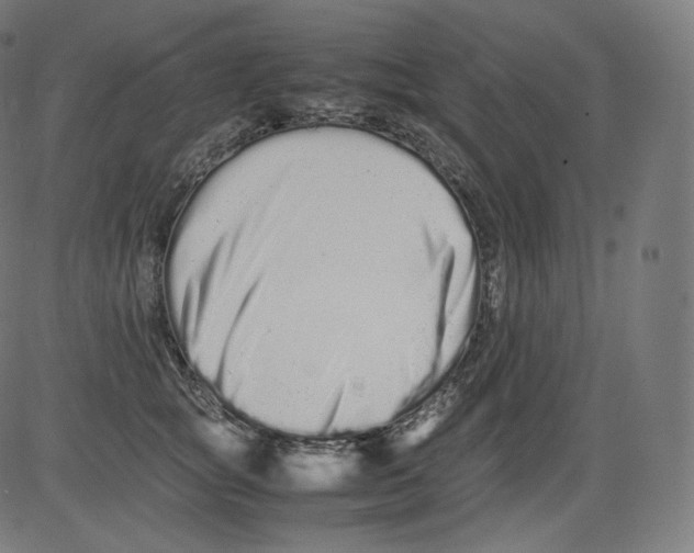 X0000081430757200702092159