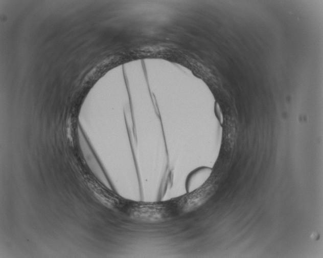 X0000081430758200702092159