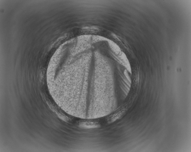 X0000081430759200702092159