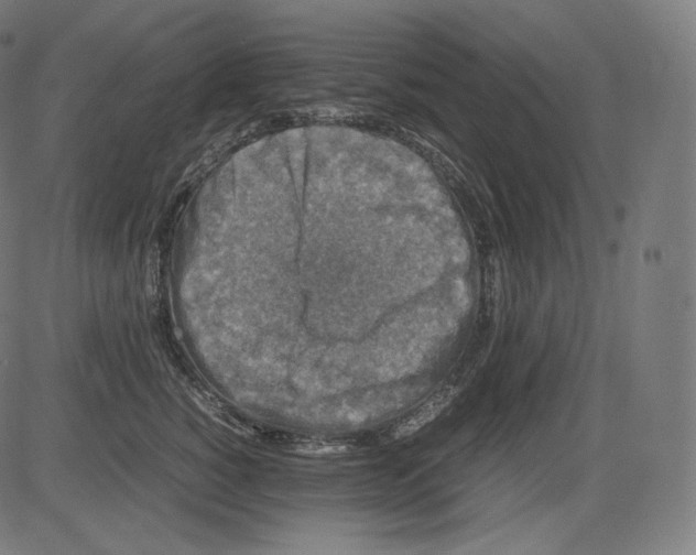 X0000081430760200702092159