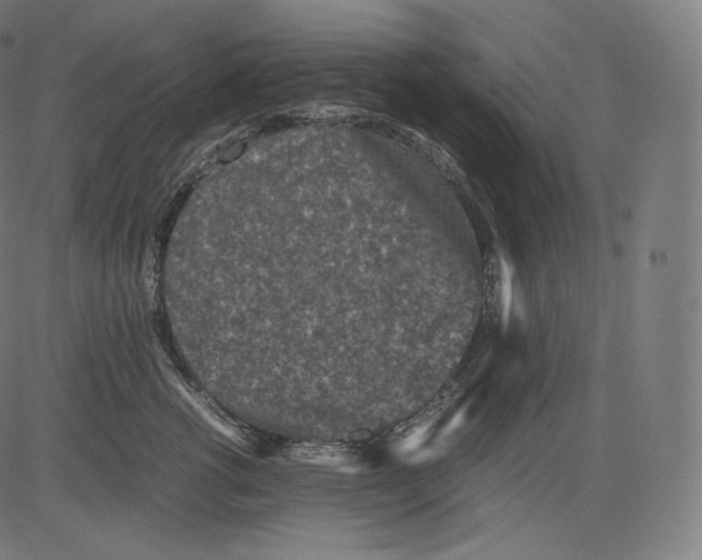 X0000081430762200702092159