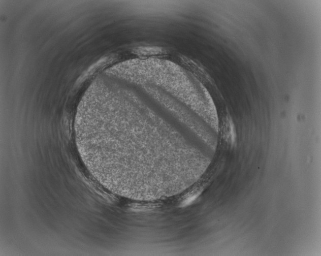 X0000081430763200702092159