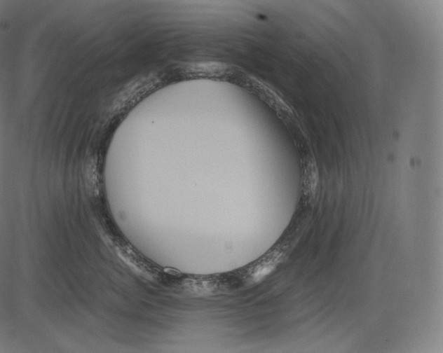 X0000081430764200702092159