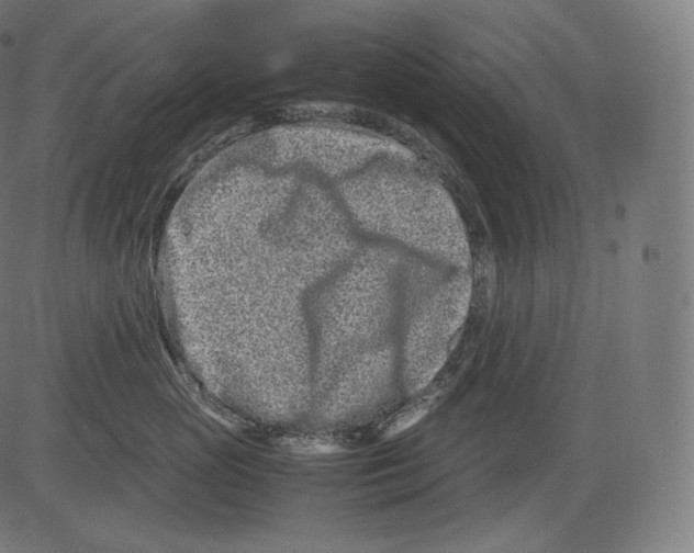 X0000081430765200702092159