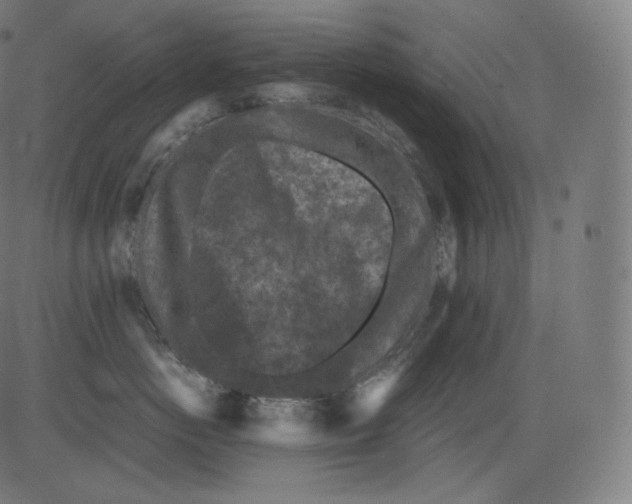 X0000081430766200702092159