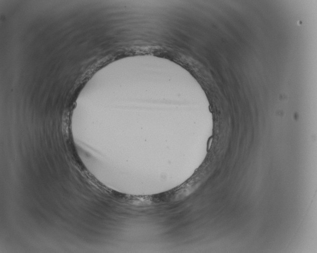 X0000081430768200702092159