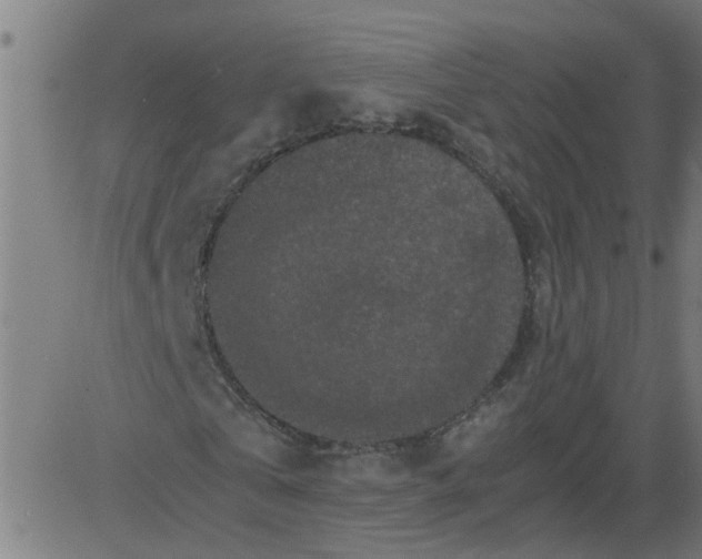 X0000081430769200702092159