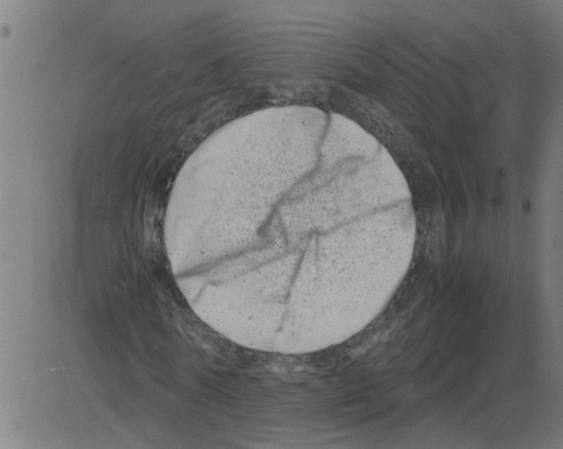 X0000081430770200702092159