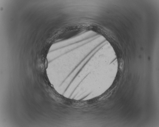 X0000081430771200702092159