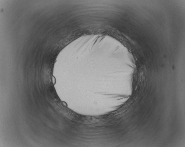 X0000081430772200702092159