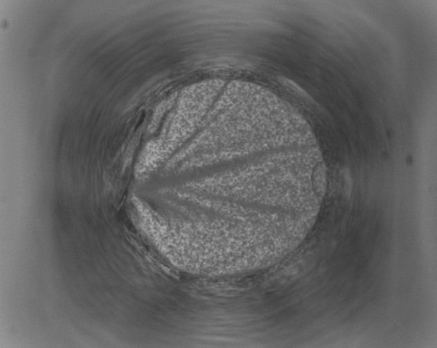 X0000081430774200702092158