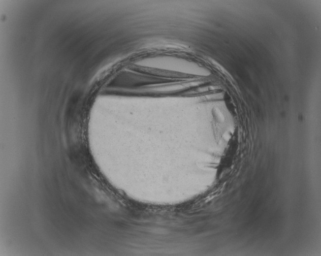 X0000081430775200702092158