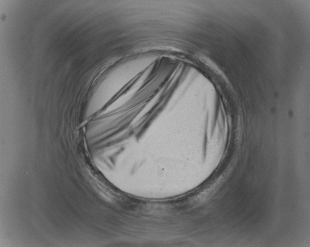 X0000081430777200702092158