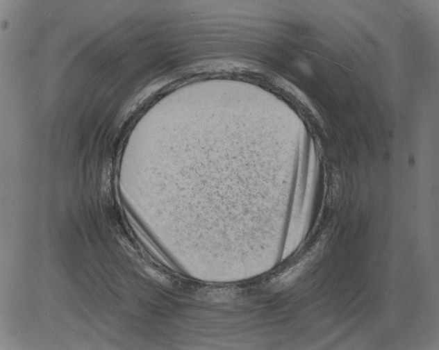 X0000081430778200702092158