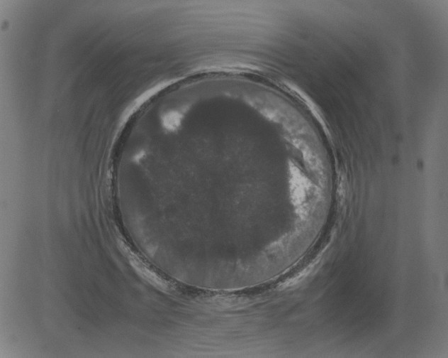 X0000081430779200702092158