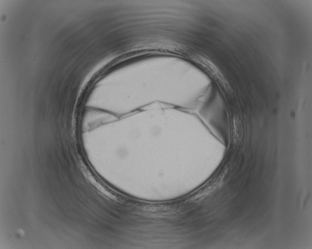 X0000081430780200702092158