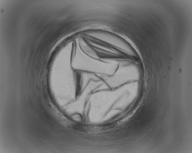 X0000081430783200702092158