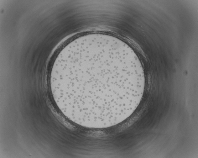 X0000081430784200702092158