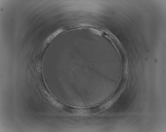 X0000081430785200702092158