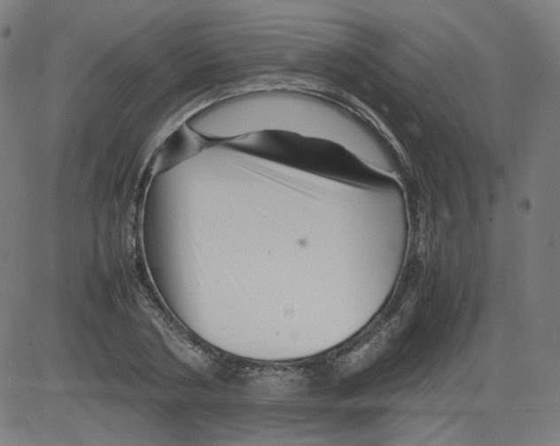 X0000081430786200702092158