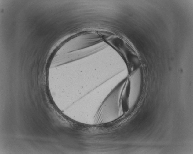 X0000081430787200702092158