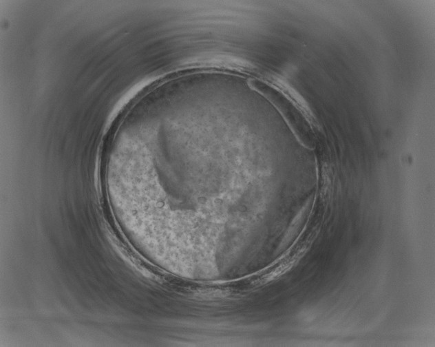 X0000081430788200702092158