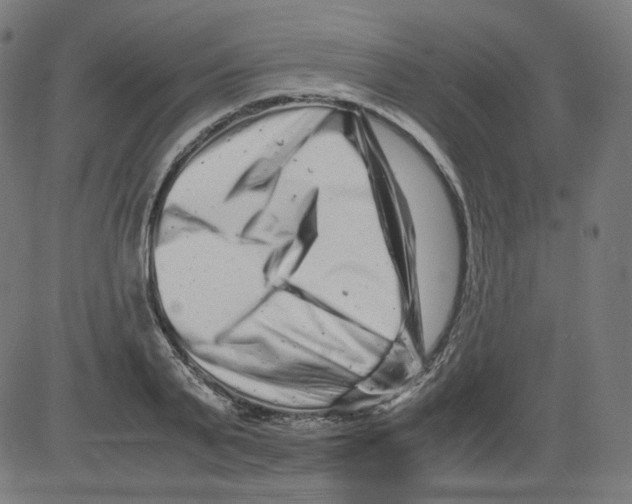 X0000081430791200702092158