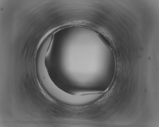 X0000081430792200702092158