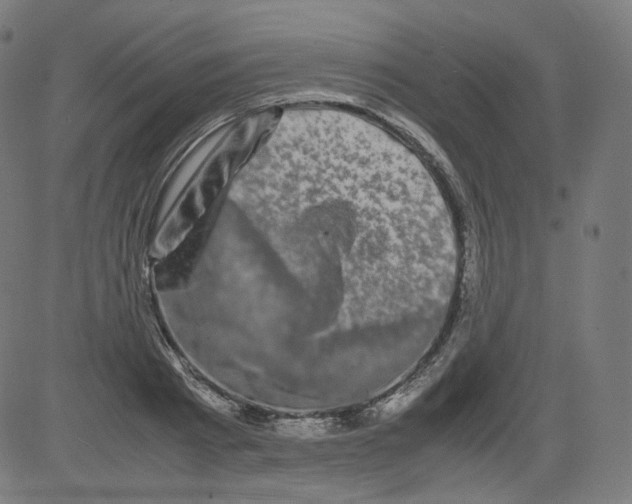 X0000081430793200702092158