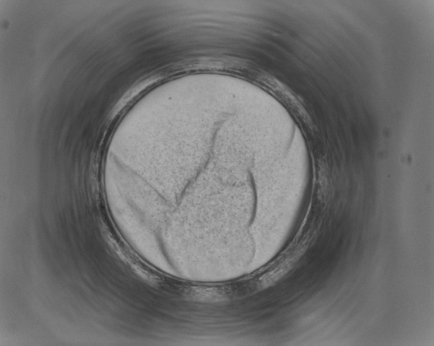 X0000081430794200702092158