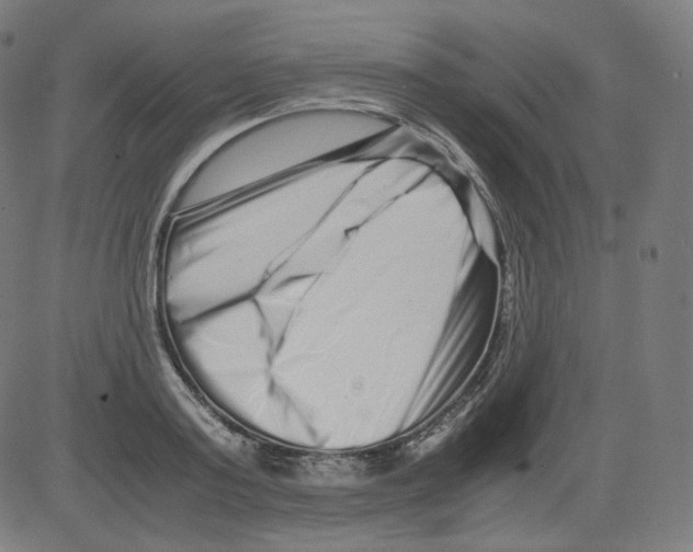 X0000081430795200702092158