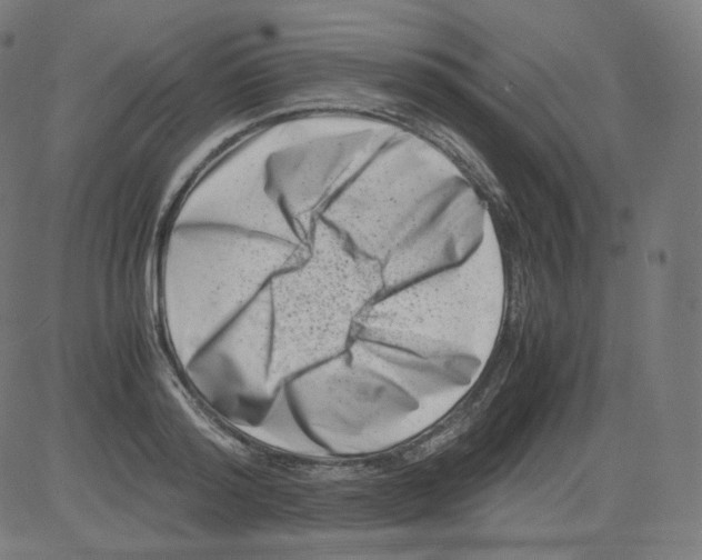 X0000081430796200702092158