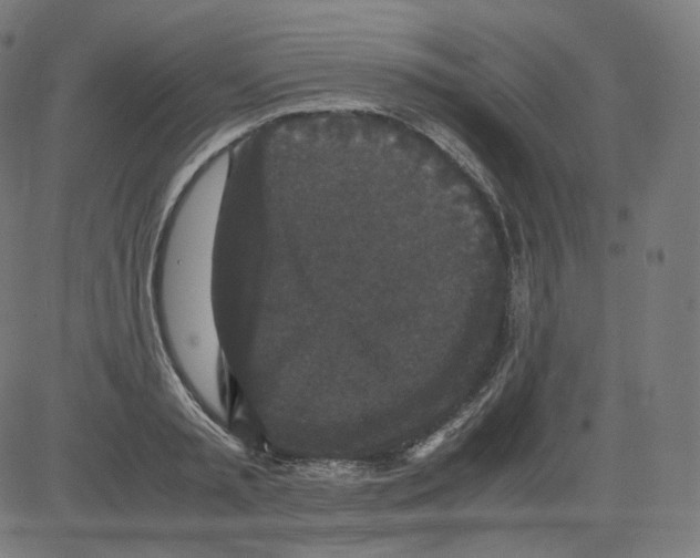 X0000081430797200702092158