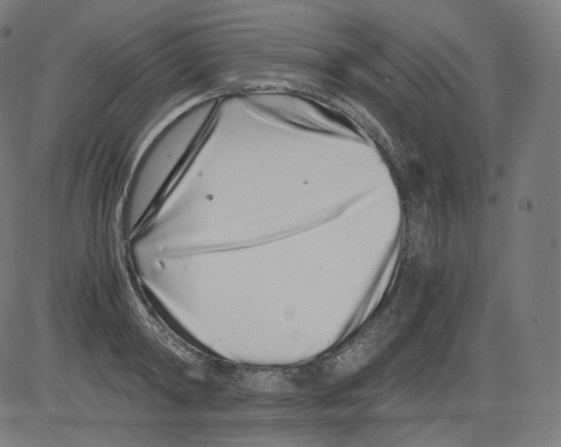 X0000081430798200702092158