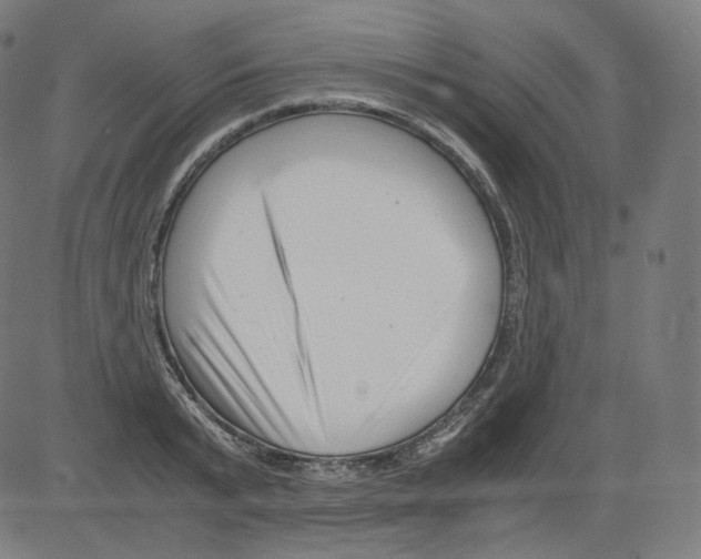 X0000081430799200702092158