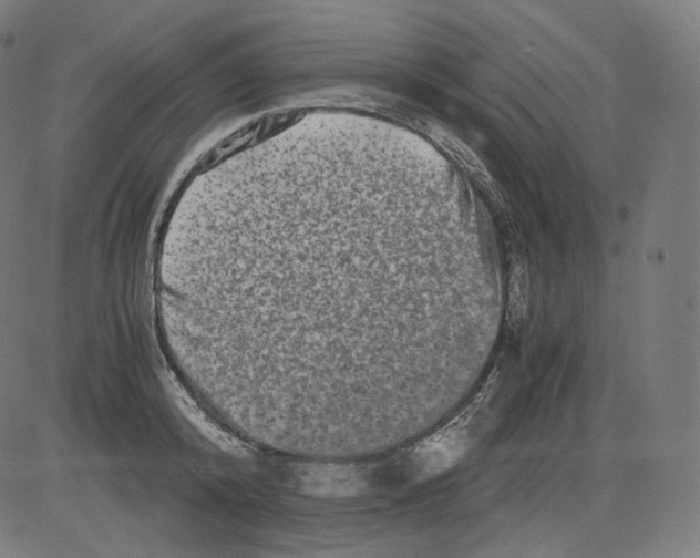 X0000081430800200702092158