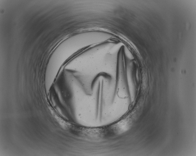 X0000081430801200702092158