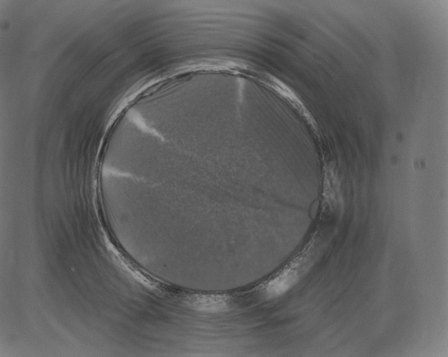 X0000081430802200702092158