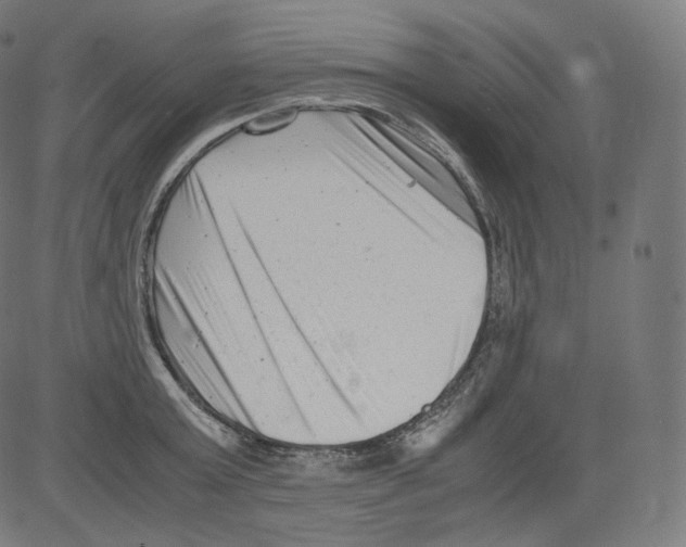 X0000081430803200702092158