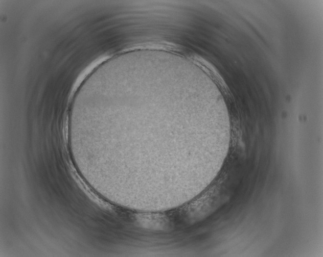 X0000081430804200702092158