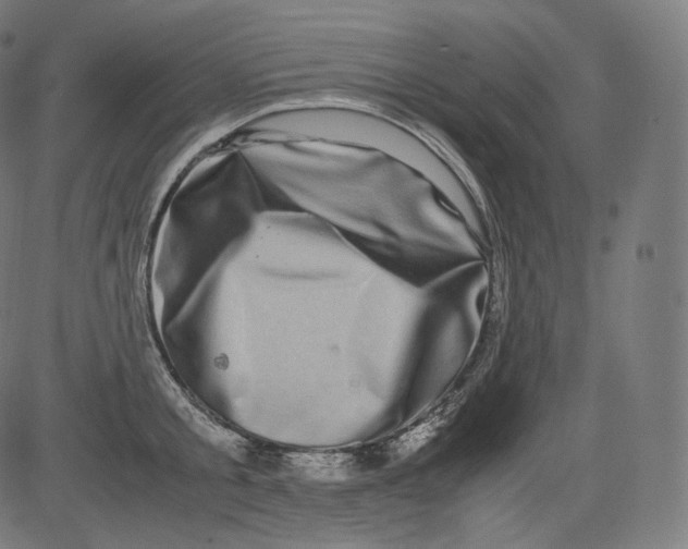 X0000081430805200702092158