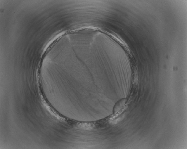 X0000081430806200702092158