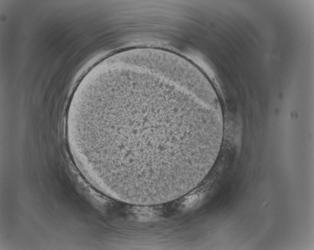 X0000081430807200702092158