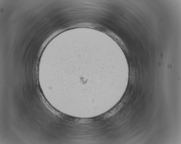 X0000081430808200702092158