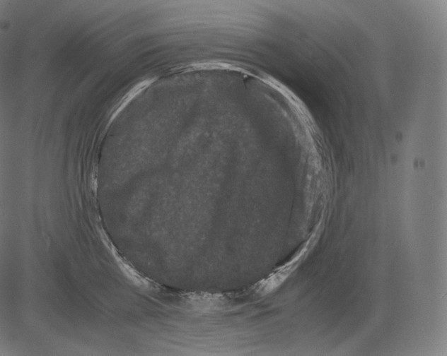 X0000081430809200702092158